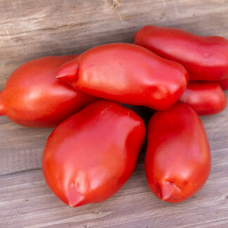 АББАТИСТА Abbattista