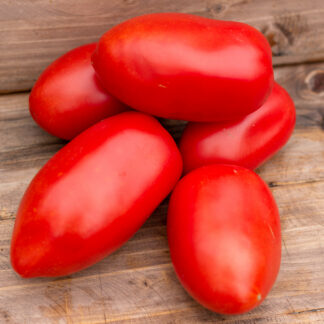 АЛЁНКА МИНУСИНСКАЯ