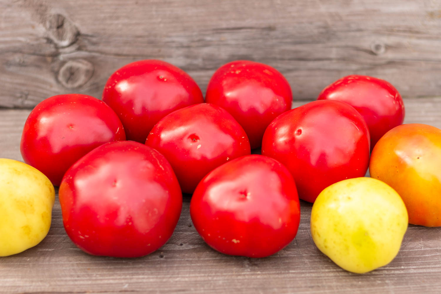 АЛЬМА ПАПРИКА Alma Paprika — изображение 7