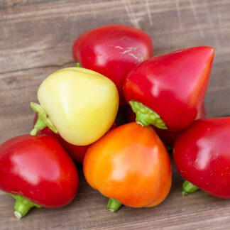 АЛЬМА ПАПРИКА Alma Paprika