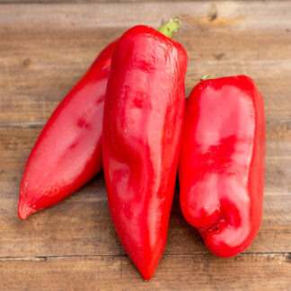 АЛТАЙСКИЙ ПЛОДОВИТЫЙ