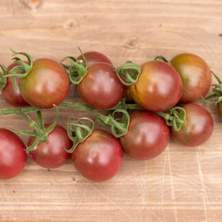 АНТО РОТБРАУН Antho Rotbraun