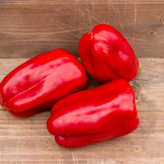 АСТИ КРАСНЫЙ Quadrato Asti