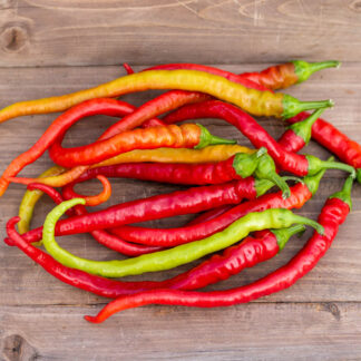 ЧОРБАДЖИЙСКИЙ