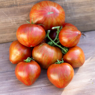 ЧЁРНЫЙ ВОЛШЕБНИК Dwarf Black Wizard