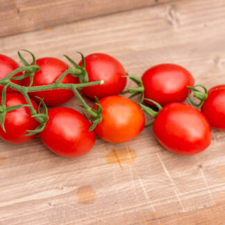 ЧЕРРИ МИНУСИНСКИЕ КРАСНЫЕ