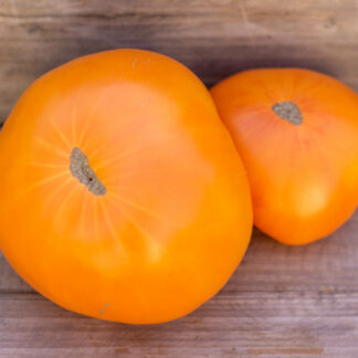 ДА ЧИЛО ОРАНЖЕВЫЙ  Da Chilo Orange