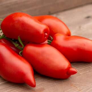 ДЕРЕВЕНЩИНА ИЗ АЙДАХО Idaho Hillbilly