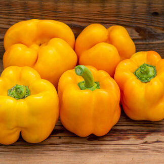 ДЕРЗКИЙ ТОЛСТЯК ЖЕЛТЫЙ