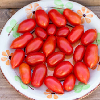 ДЕТТЕРИНИ КРАСНЫЙ Datterini red