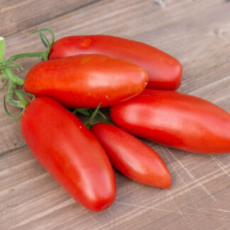 ЖЕЛЕЙНЫЙ БОБ Jelly Bean