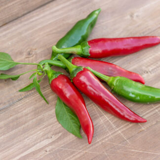 ДЖУЛЮНСКА ШИПКА