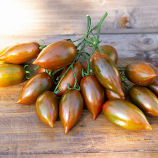 ЭМАЛИЯ  Emalia