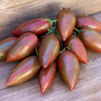 ФИОЛЕТОВЫЙ ИЗУМРУД  Purple Smaragd