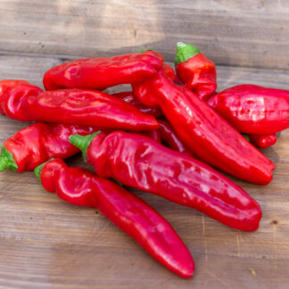 ФРИДЖИТЕЛЛО ПЕПЕРОНИ Friggitello Peperone