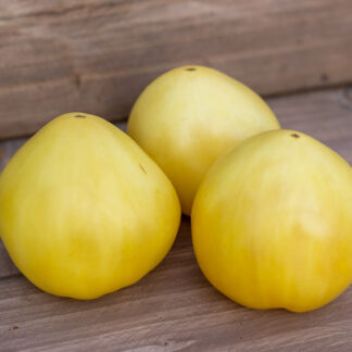 ГОВЯЖЬЕ СЕРДЦЕ БЕЛОЕ Coeur de Boeuf Blanc