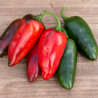 ХАЛАПЕНЬО ГИГАНТ Jalapeno giant