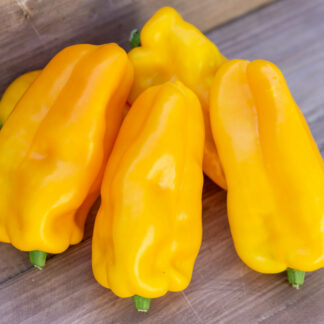 ХАММЕР ЖЁЛТЫЙ