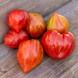 КАМЕНИСТЫЙ РУЧЕЙ СЕРДЦЕВИДНЫЙ Dwarf Stony brook heart