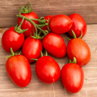 КЕЧКЕМЕТИ 549