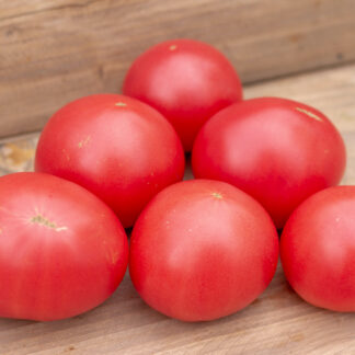 КОЛХОЗНАЯ КОРОЛЕВА