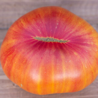 КРАСОТА СЬЮЗИ  Dwarf Suz’s Beauty