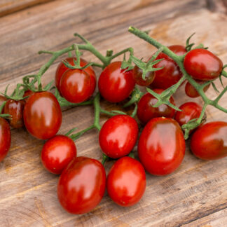 КУМАТО ЧЕРРИ