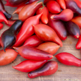 КУМКВАТ РОЗОВЫЙ ОПАЛ