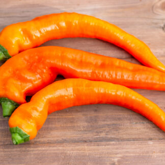 ЛИСИЙ ХВОСТ