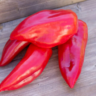 ЛЮБИМОЕ СЕРДЦЕ Beloved Heart