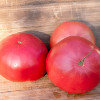 МАЛИНОВКА ЯБЛОЧНАЯ