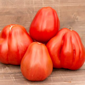 МАМА МИЯ Mama Mia