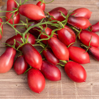 СКАЗОЧНЫЙ АНГЕЛ РОЗОВЫЙ Märchenengel