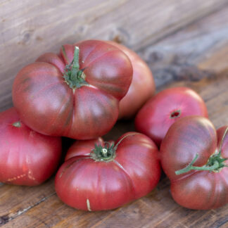 МГЛА ВИНСА Dwarf Vince’s Haze