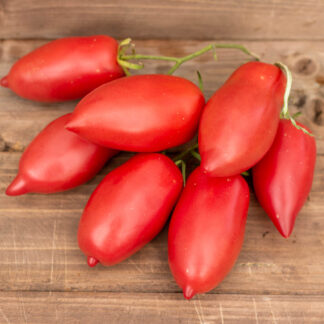 МИНУСИНСКОЕ БЫЧЬЕ СЕРДЦЕ КИСТЕВОЕ