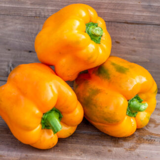 ОРАНЖЕВЫЙ КОЛОКОЛ ORANGE BELL