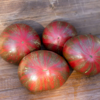 ПОЛОСАТЫЙ НОЯ   Dwarf Noah's Stripes