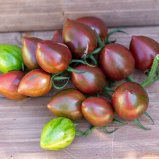 ПТИЧКА НЕВЕЛИЧКА