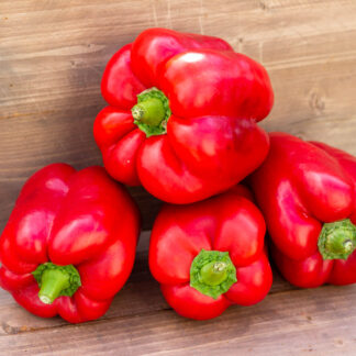 КРАСНЫЕ КОЛОКОЛЬЧИКИ "Пузатик" Red Bells "Potbelly"