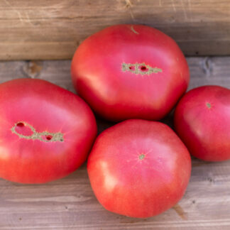 РОЗОВОЩЕКАЯ НАДЮША