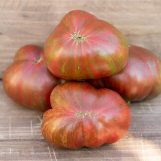 РОЗОВЫЕ ПОЛОСЫ   Dwarf Pink Stripe