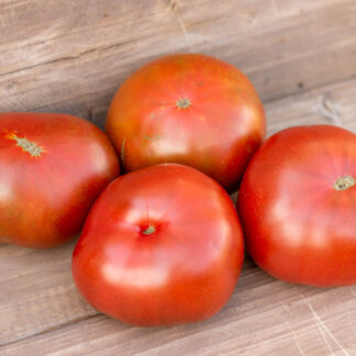 СААКСКИЕ ПОНЧИКИ Dwarf Saxon donuts