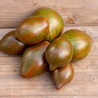 СЕРДЦЕ МАРШИ Marsha's Starfighter Heart