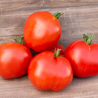 СЕРДЦЕ СКАРЛЕТ Dwarf Scarlet Heart