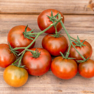 ШОКОЛАДНО-ВИШНЕВЫЙ БРАУНИ Chocolate Cherry Brownie