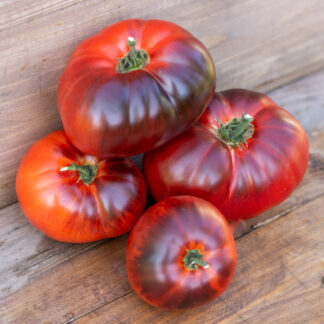 СИНИЙ КАРЛИК Blue dwarf