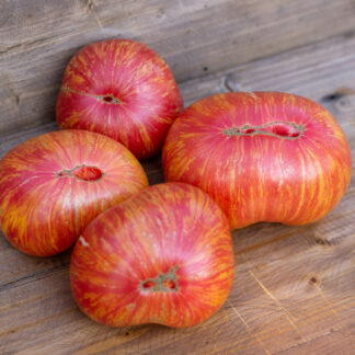 СЛАДКАЯ ЖАР ПТИЦА  Dwarf Firebird Sweet