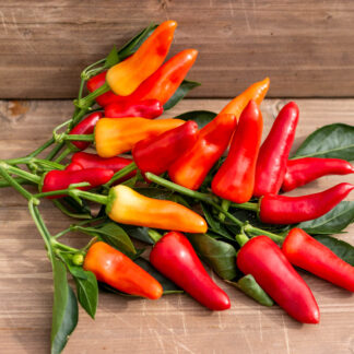 СЛАДКИЕ ПИКУЛИ Sweet Pickle