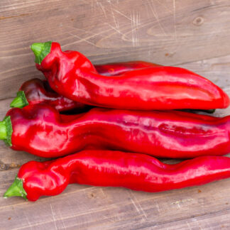 СЛОНОВИЙ ХОБОТ