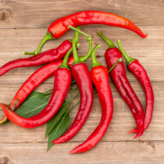 СТАВРОПОЛЬСКИЙ ДЛИННЫЙ